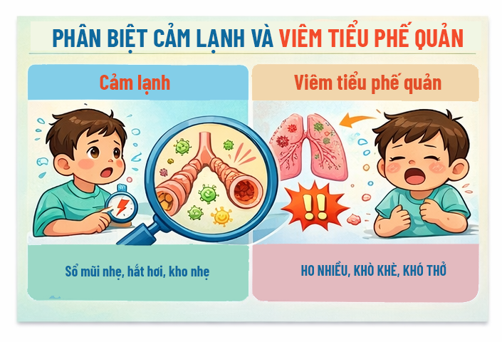 Bảng phân biệt cảm lạnh và viêm tiểu phế quản cấp