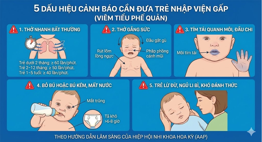 5 dấu hiệu cảnh báo viêm tiểu phế quản cần nhập viện gấp