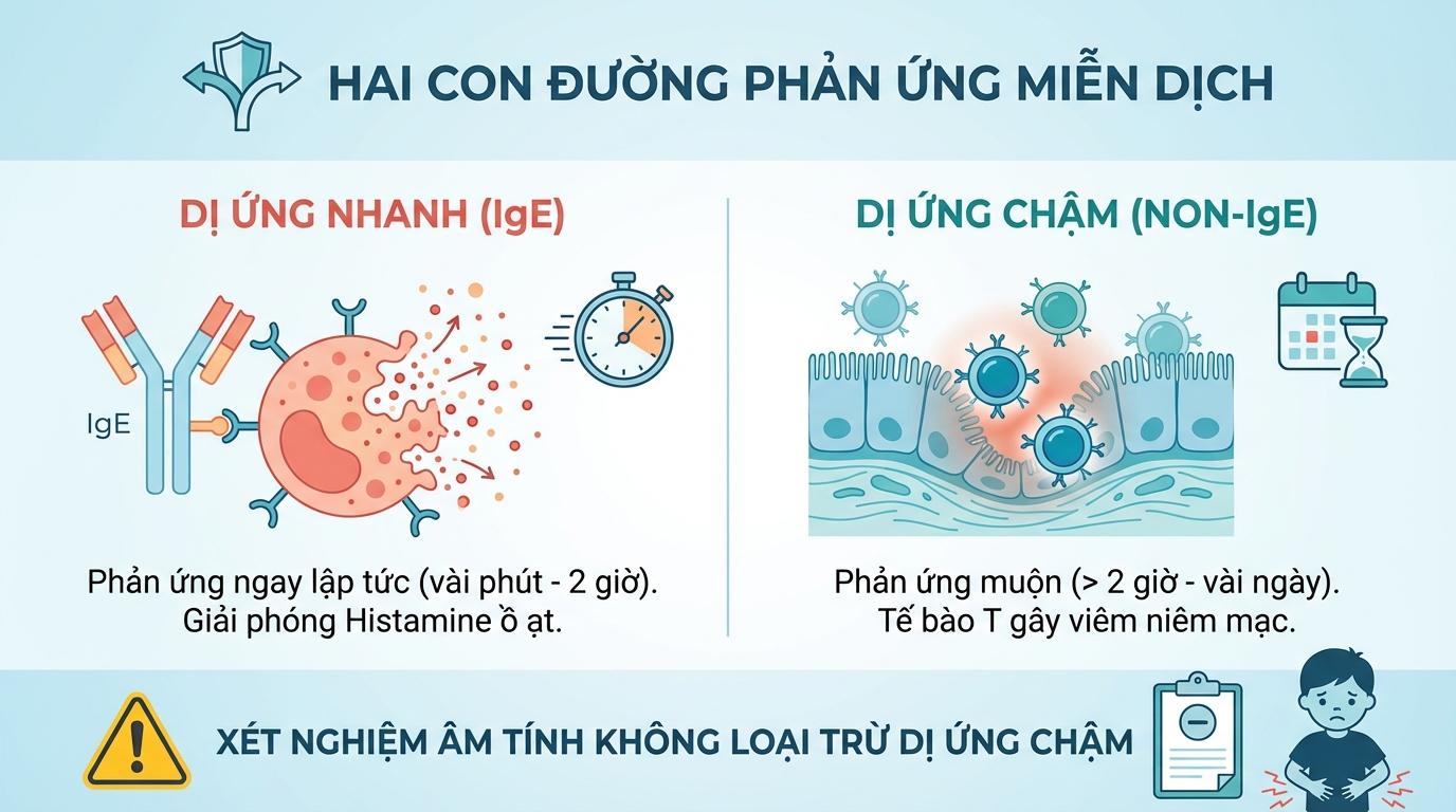 Tổng Quan Về Miễn Dịch Học: Hai Con Đường Phản Ứng Với Dị Nguyên