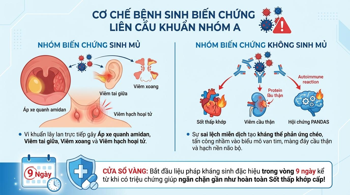 Cơ chế bệnh sinh của các biến chứng do Liên cầu khuẩn nhóm A: Lý do cần can thiệp y khoa kịp thời