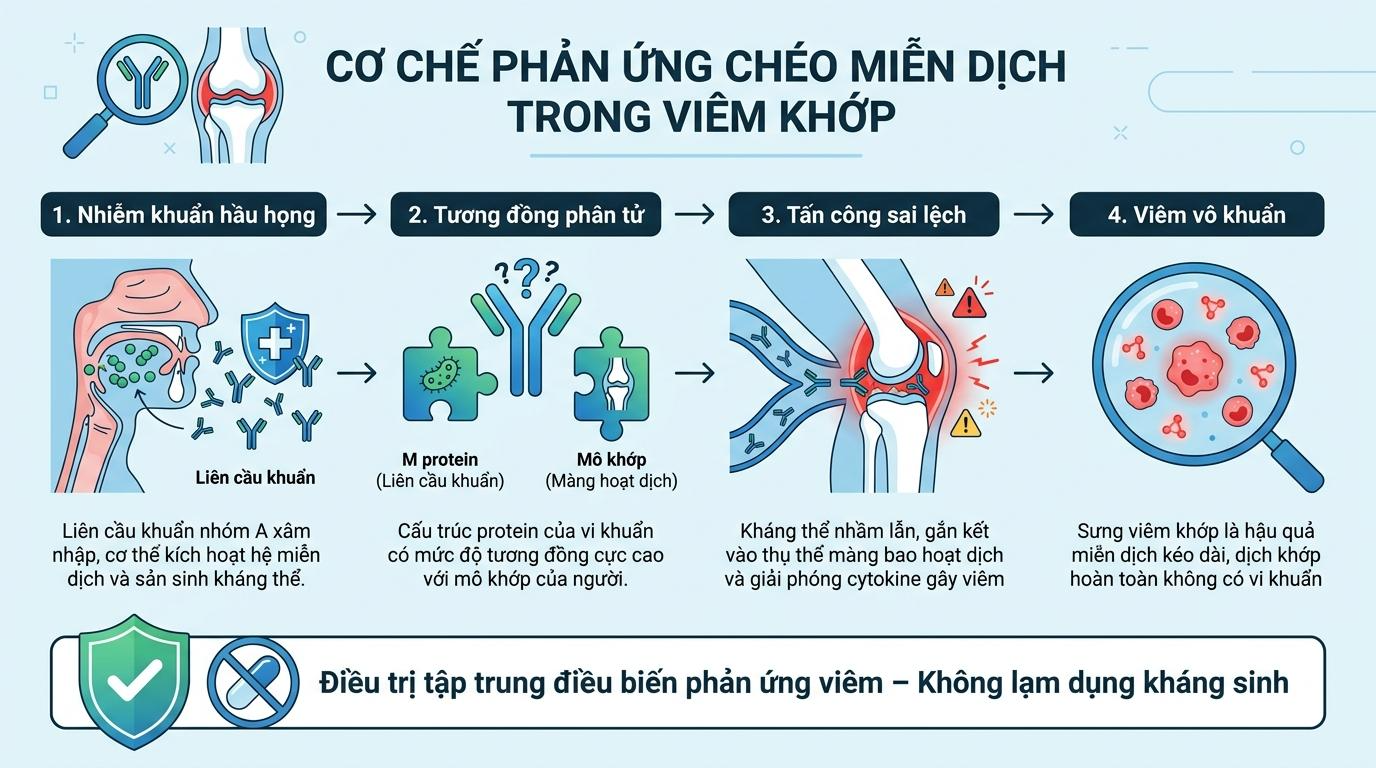 Cơ Chế Bệnh Sinh Học: Phản Ứng Chéo Miễn Dịch Sinh Học Phân Tử