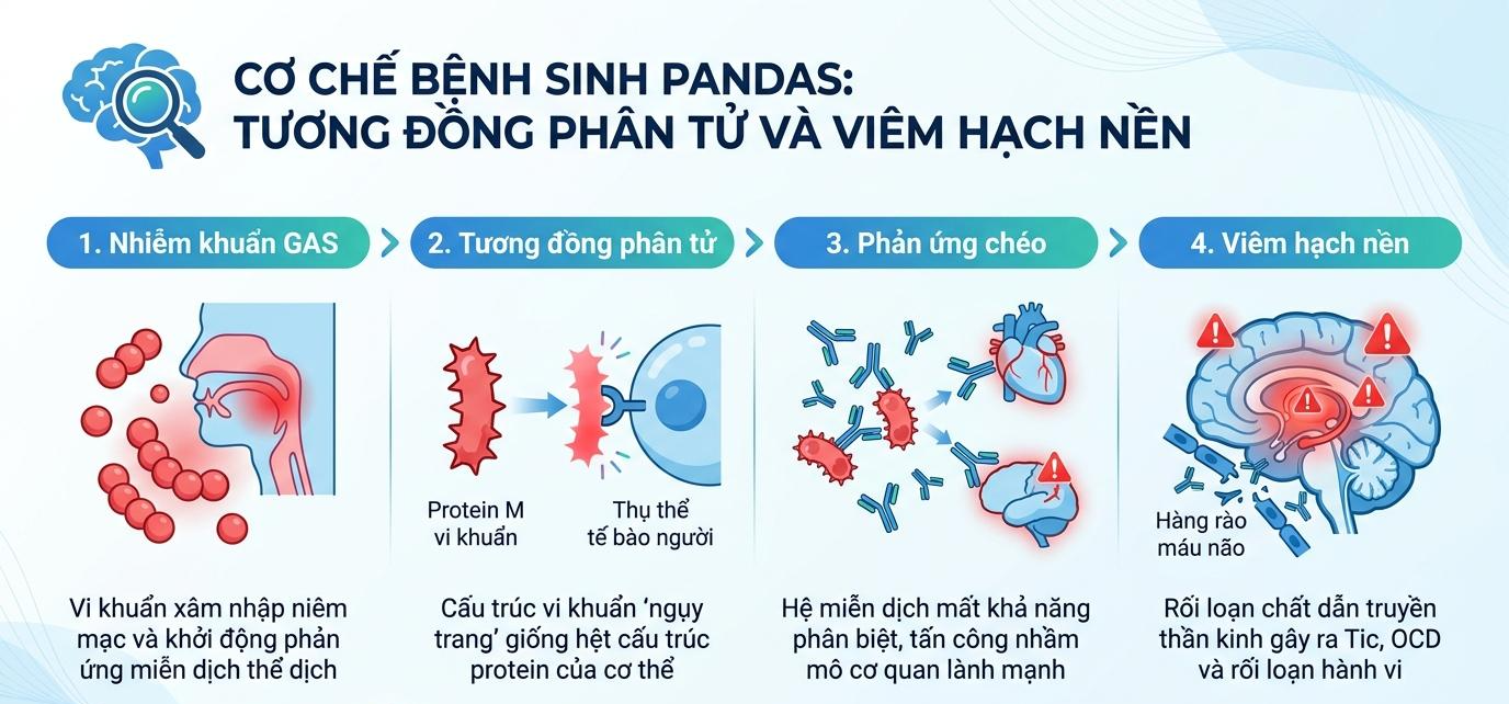 Phân Tích Cơ Chế Bệnh Sinh (Pathophysiology): Tương Đồng Phân Tử Và Viêm Hạch Nền