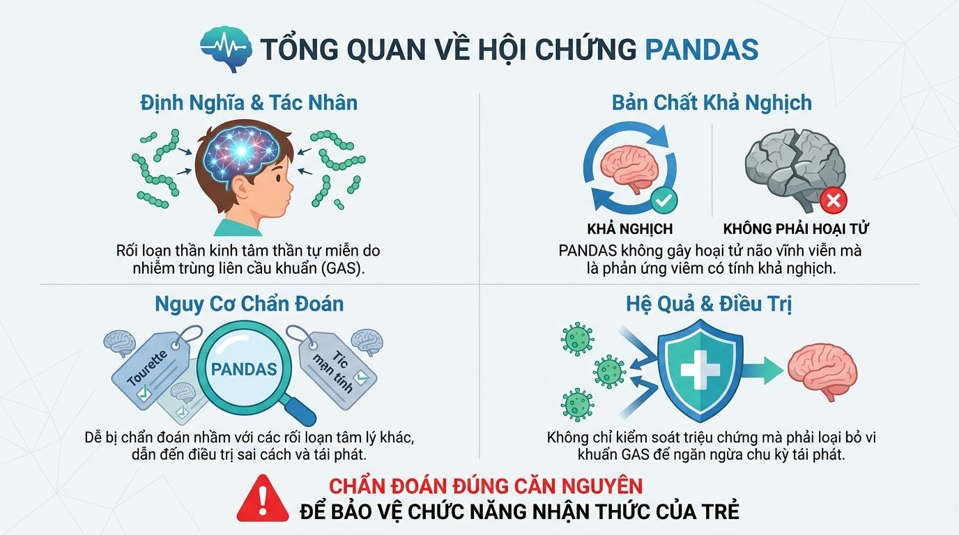 Tổng Quan Y Khoa: Định Nghĩa Và Bản Chất Của Hội Chứng PANDAS
